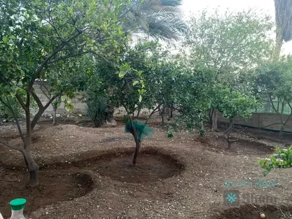 بيت  للبيع — 2