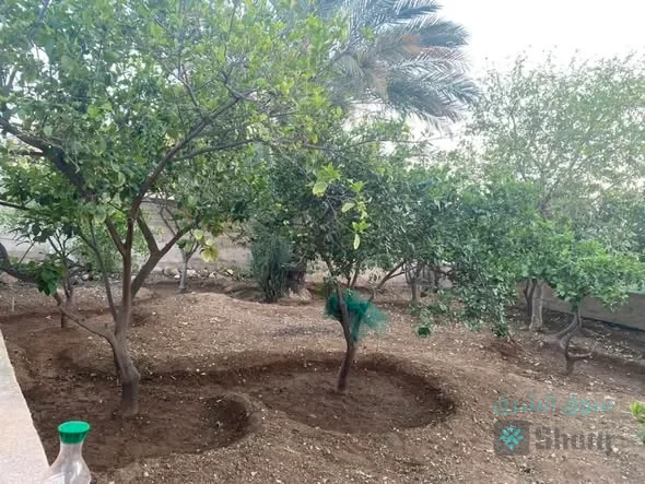 بيت  للبيع — 3